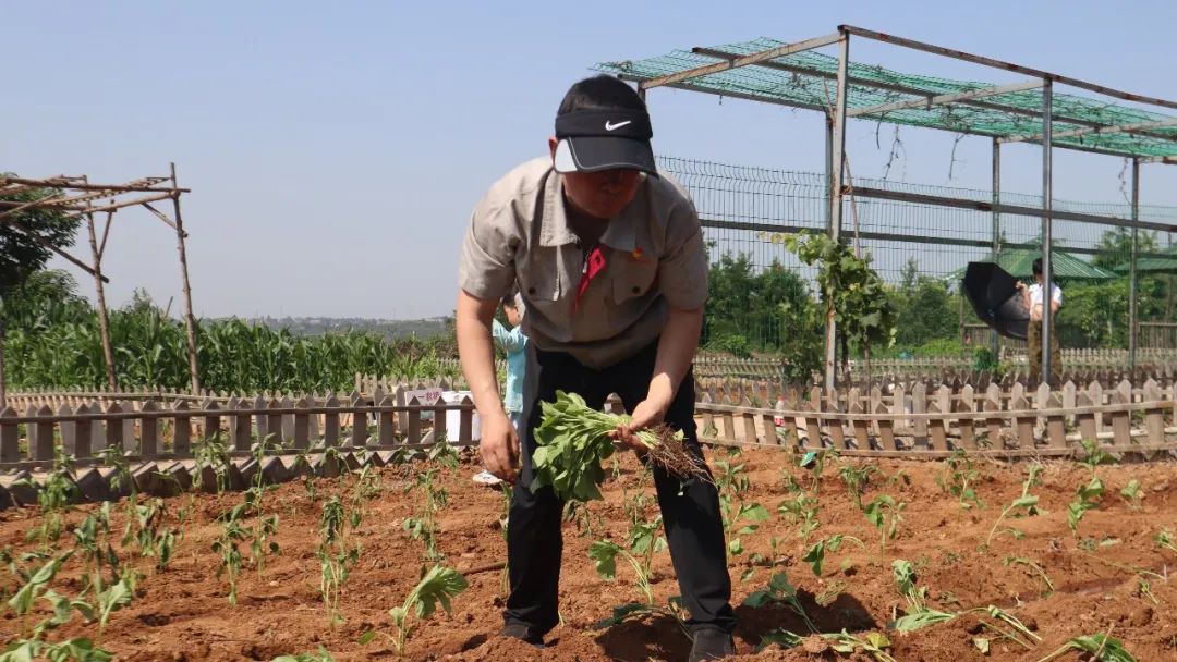 jdb电子游戏(中国)官方网站