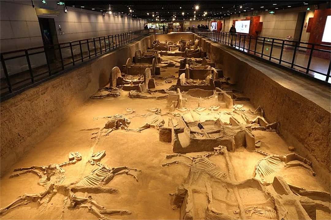 jdb电子游戏(中国)官方网站