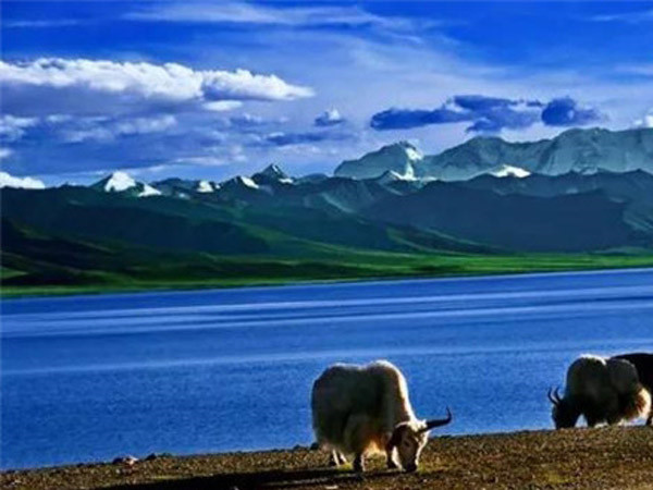 中集jdb电子游戏团委爱心送捐活动圆满竣事