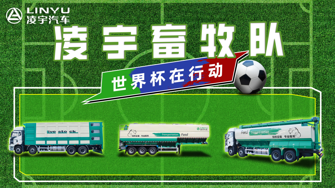 夺冠天下杯！你注重到这支球队了吗？？？？？？？